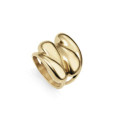 ANILLO ACERO IP DORADO SRA FASHION - 14207A01412