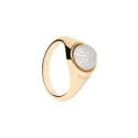 ANILLO PDPAOLA LABRADORITA MOON - AN01-B21-12