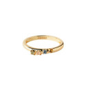 Anillo Rainbow Wing - AN01-C10-10