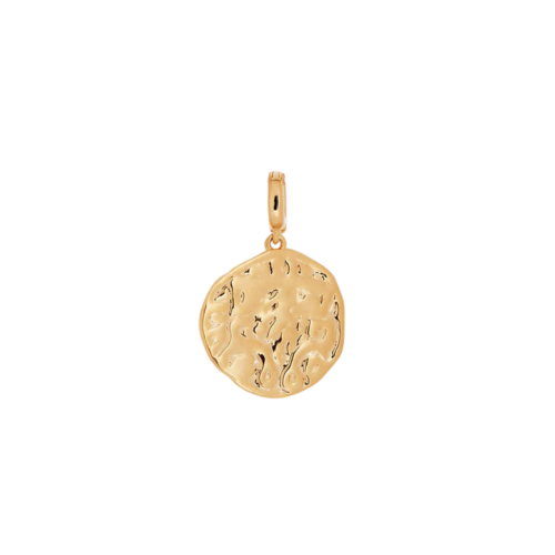 CHARM V&V MONEDA - X48489