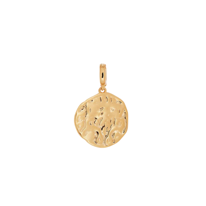 CHARM V&V MONEDA - X48489
