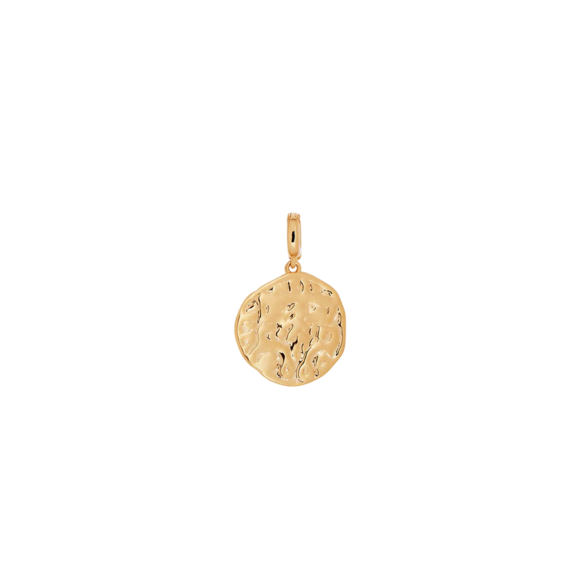 CHARM V&V MONEDA - X48489