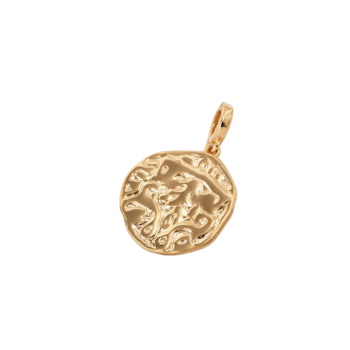 CHARM V&V MONEDA - X48489