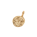 CHARM V&V MONEDA - X48489