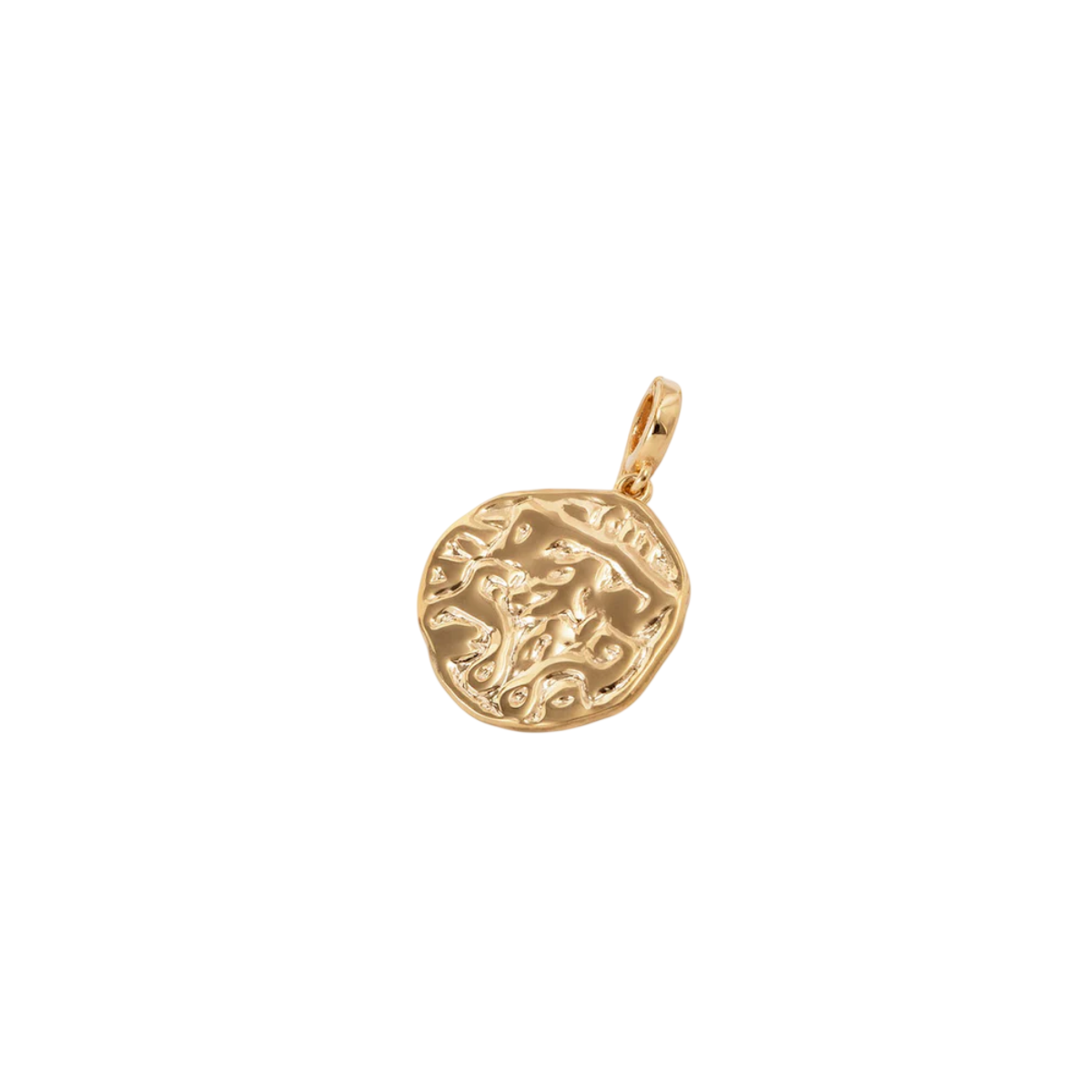 CHARM V&V MONEDA - X48489